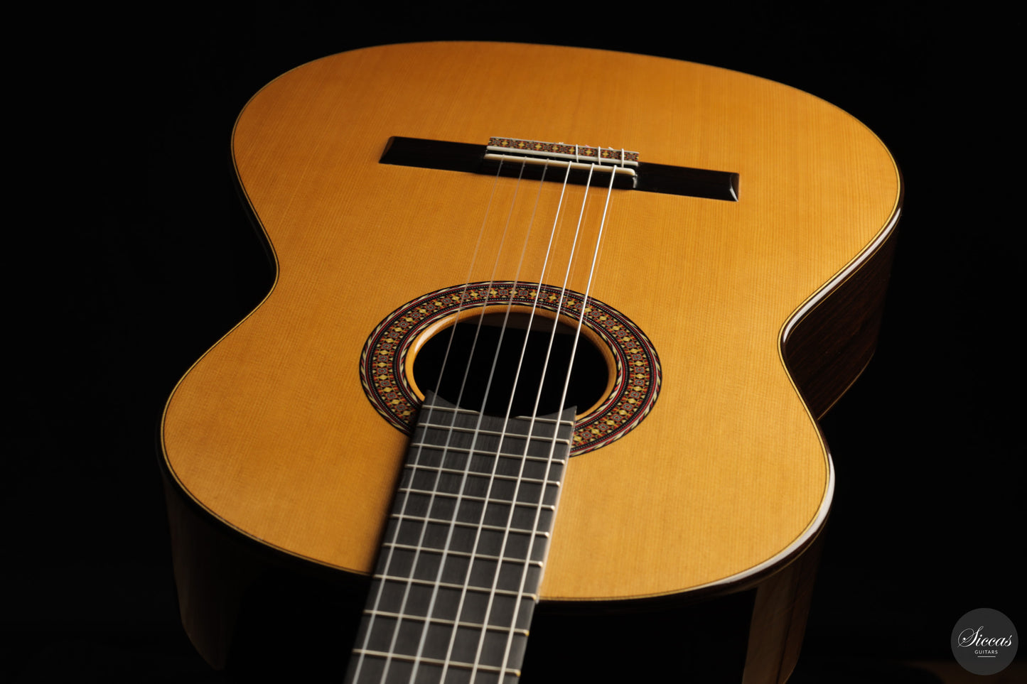 José Salinas - 2026 Cedar 64 cm