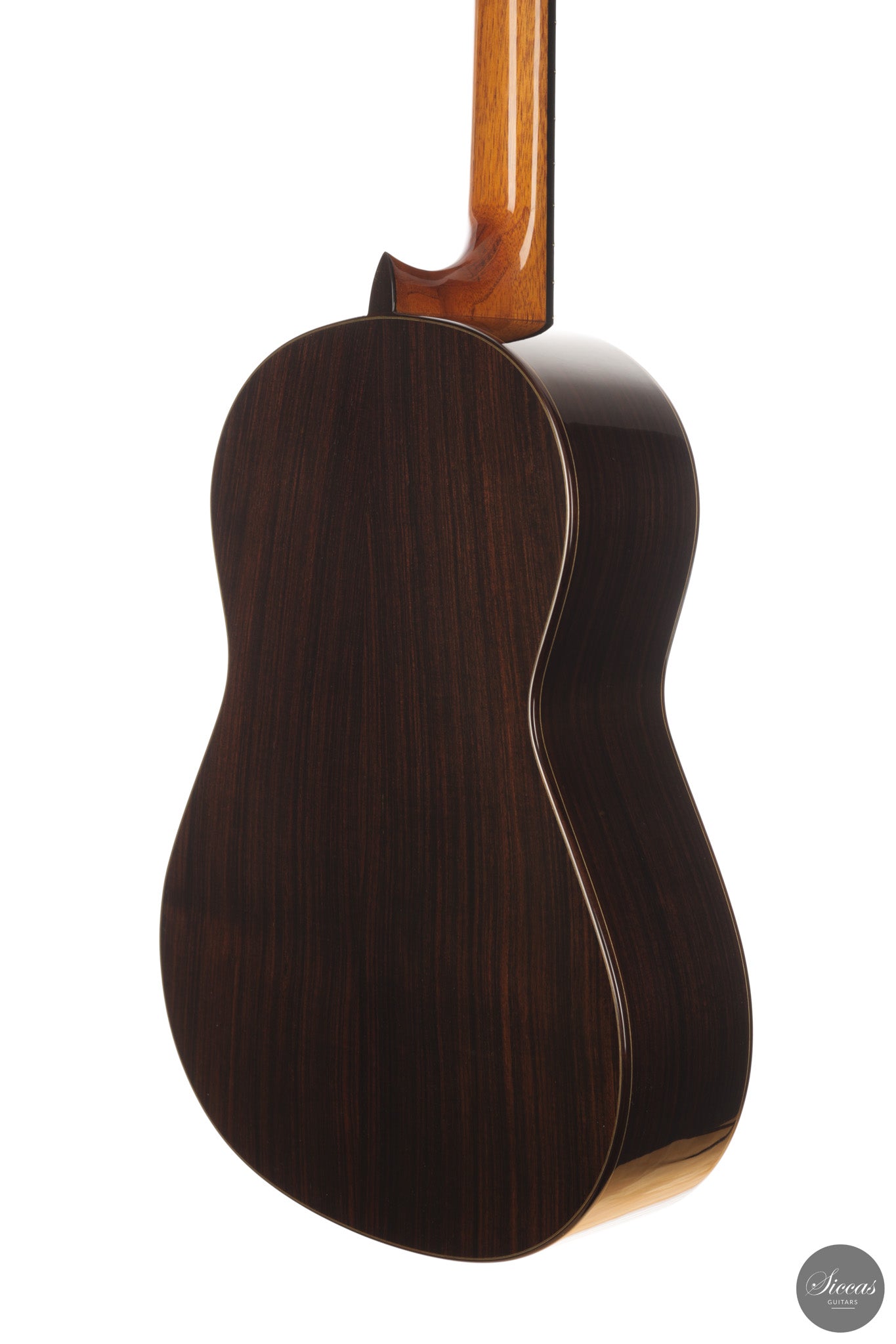 José Salinas - 2026 Cedar 64 cm