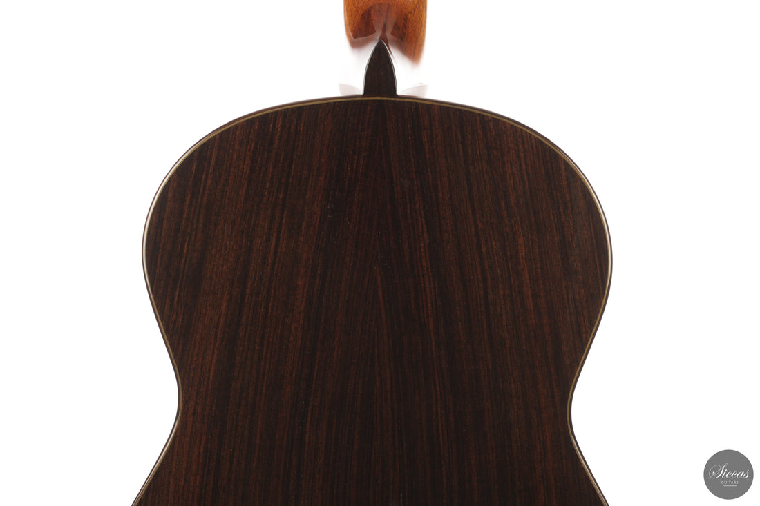 José Salinas - 2026 Cedar 64 cm