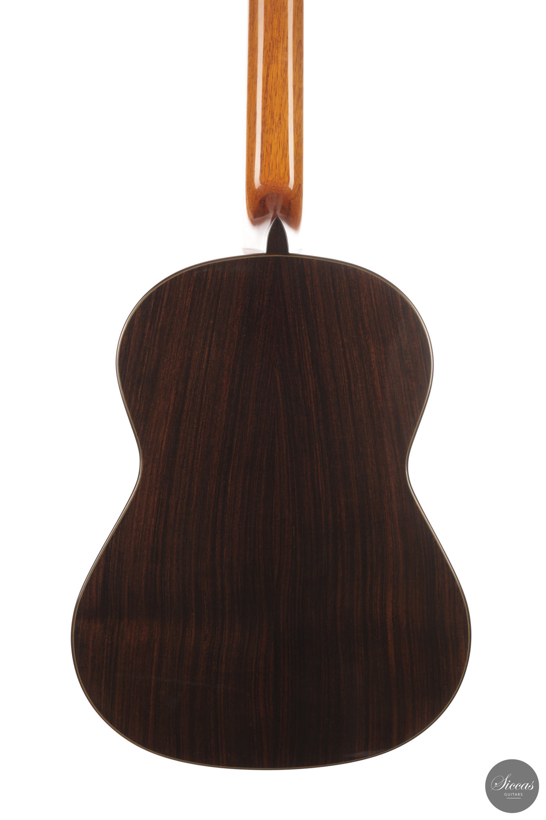 José Salinas - 2026 Cedar 64 cm