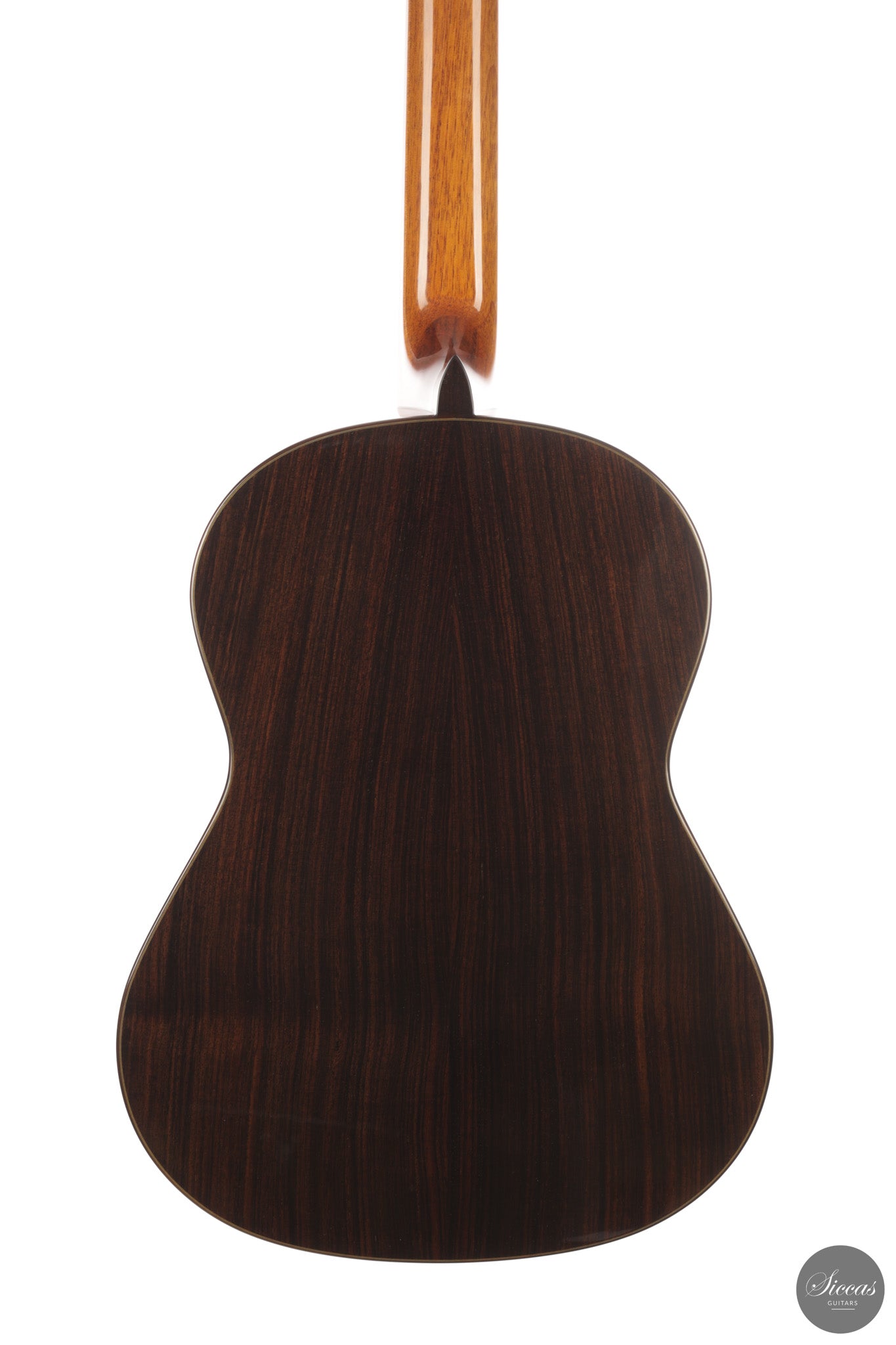 José Salinas - 2026 Cedar 64 cm