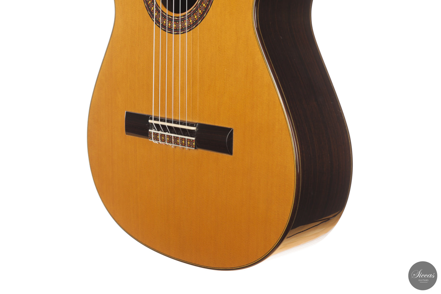 José Salinas - 2026 Cedar 64 cm