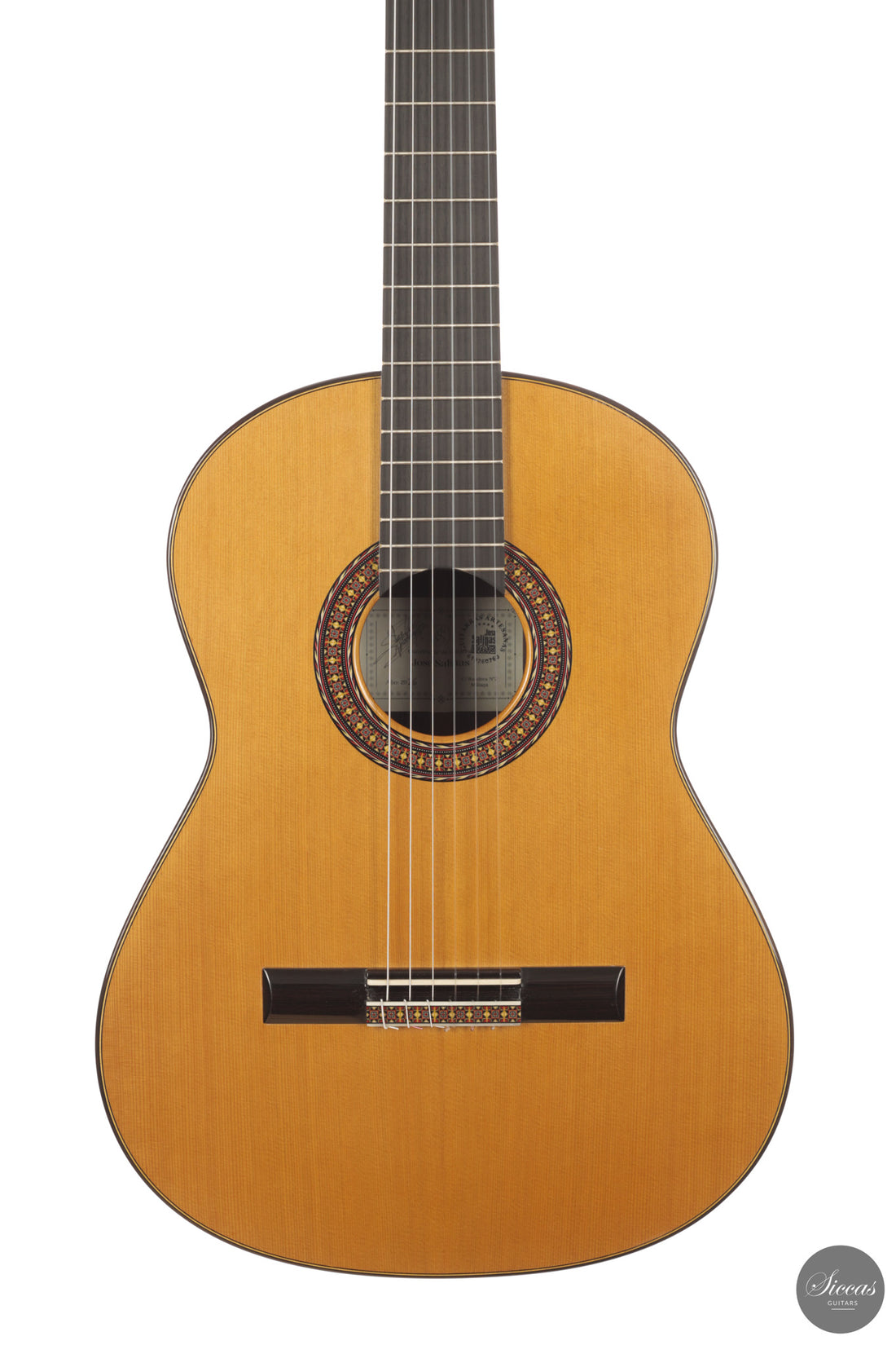 José Salinas - 2026 Cedar 64 cm