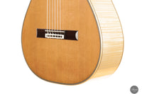 Karel Dedain - 2025 Cedar / Maple 64 cm