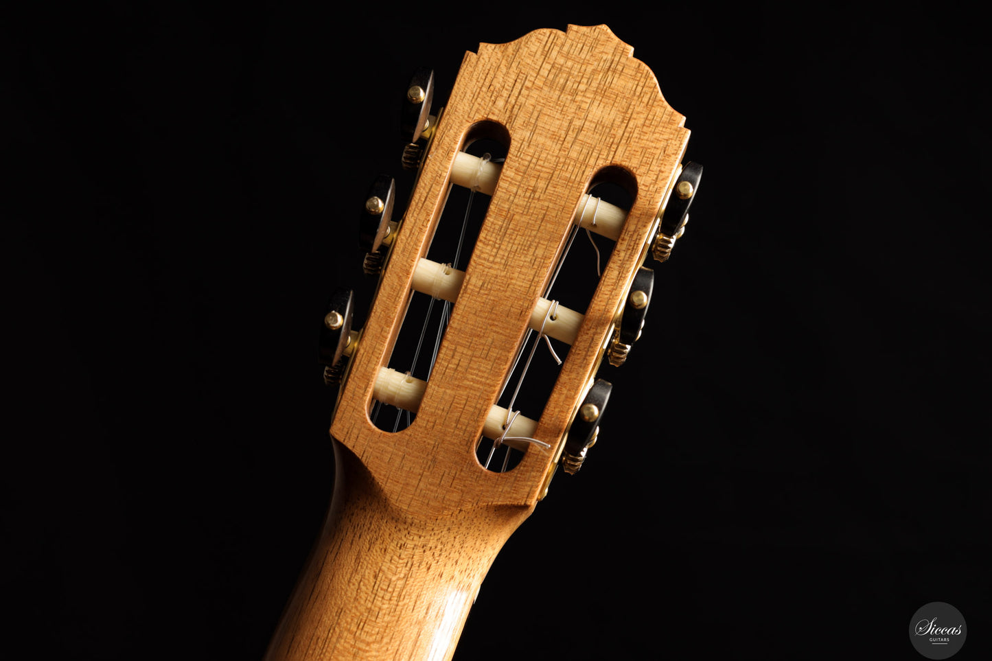 Karel Dedain - 2025 Cedar / Maple 64 cm