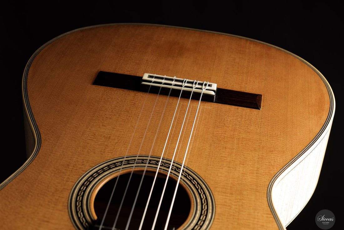Karel Dedain - 2025 Cedar / Maple 64 cm