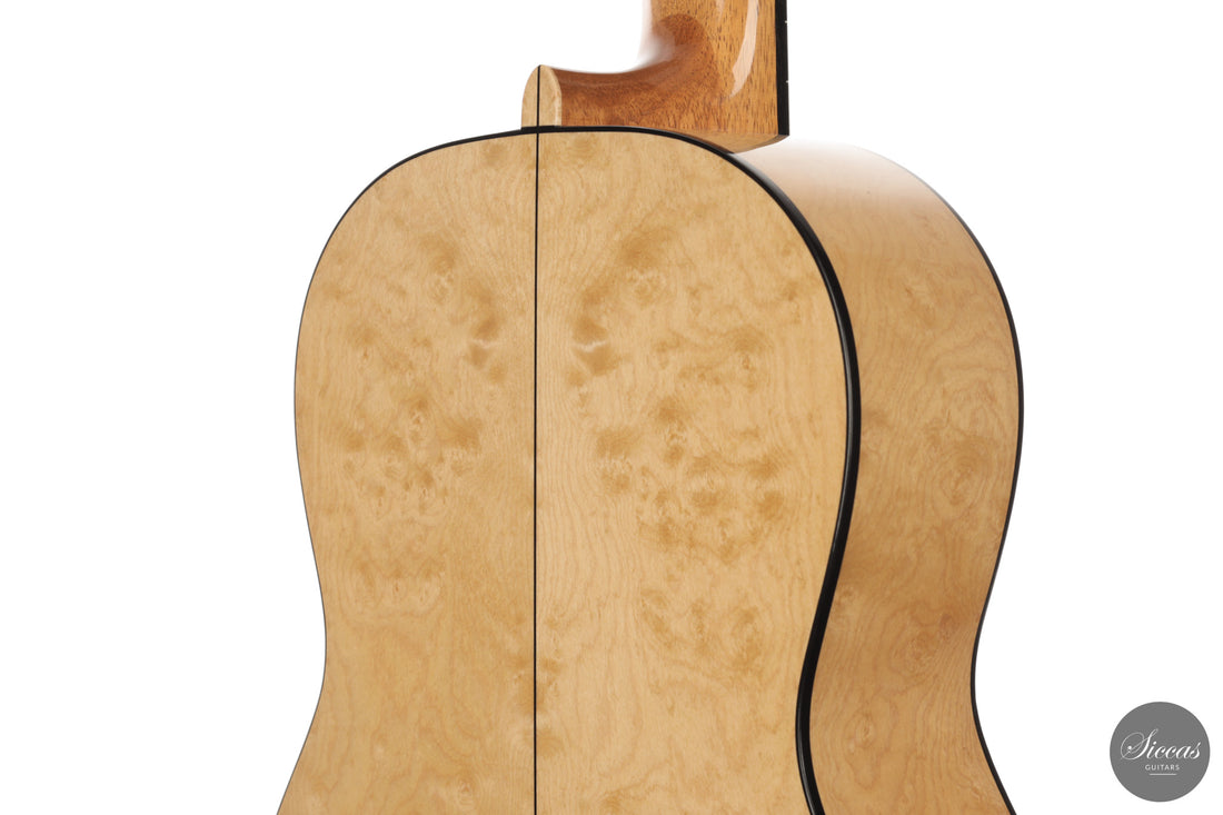 Karel Dedain - 2026 Arias