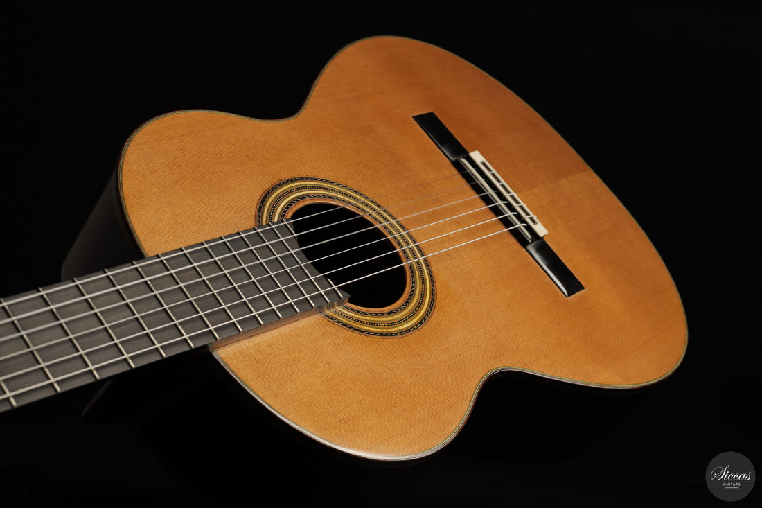 Leonardo De Gregorio - 2024 Double-Top No. 250 64 cm
