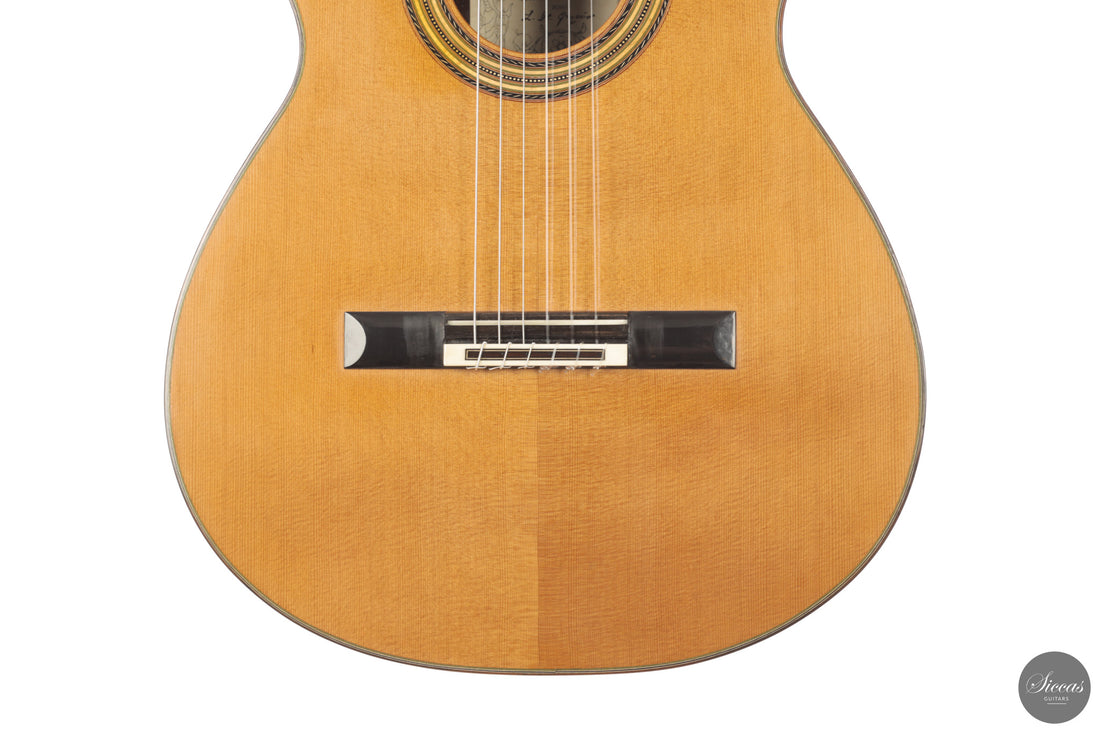 Leonardo De Gregorio - 2024 Double-Top No. 250 64 cm