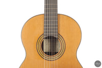 Leonardo De Gregorio - 2024 Double-Top No. 250 64 cm