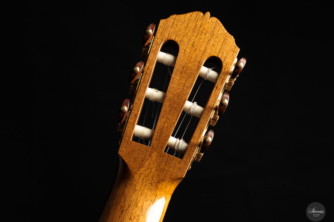 Lisa Weinzierl - 2025