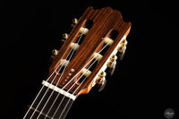 Lorenzo Frignani - 2024 No. 265 Cedar