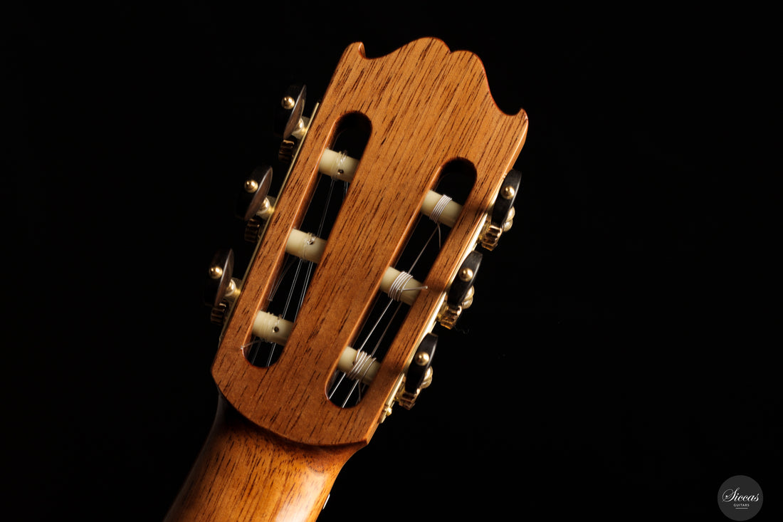 Lorenzo Frignani - 2024 No. 265 Cedar