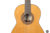 Lorenzo Frignani - 2024 No. 265 Cedar