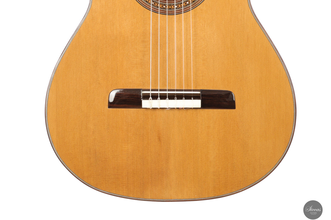 Lorenzo Frignani - 2024 No. 265 Cedar