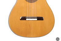 Lorenzo Frignani - 2024 No. 265 Cedar