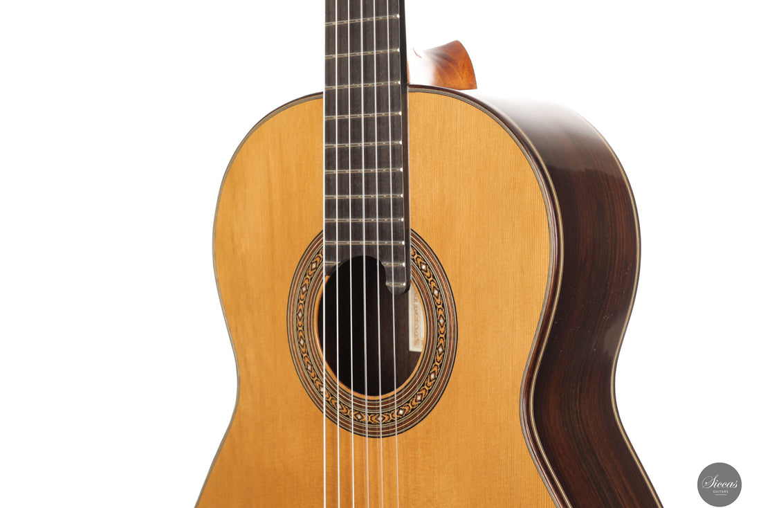 Lorenzo Frignani - 2024 No. 265 Cedar