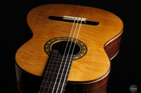 Lorenzo Frignani - 2024 No. 266 Spruce