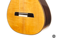 Lorenzo Frignani - 2024 No. 266 Spruce