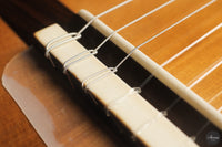 Lorenzo Frignani - 2026 Classical Guitar No. 275