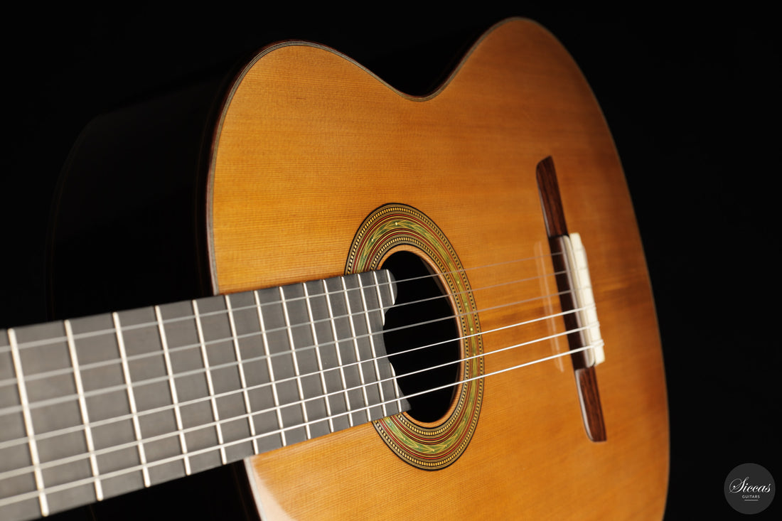 Lorenzo Frignani - 2026 Classical Guitar No. 275