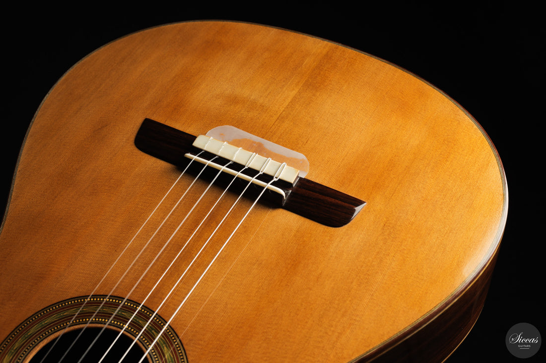 Lorenzo Frignani - 2026 Classical Guitar No. 275