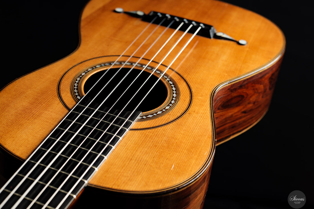 Louis Panormo - 1850 No. 1978 63 cm