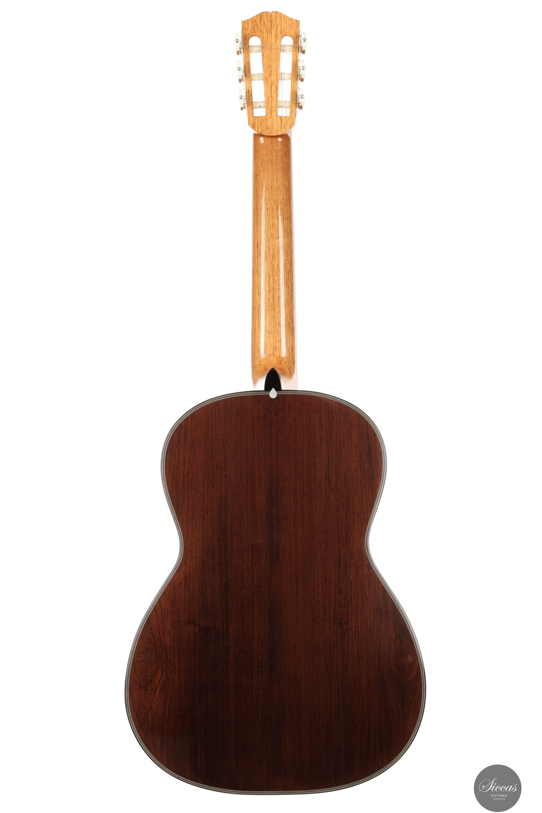 Luca Pollastro - 2025 - REG Limited Edition