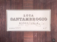 Luca Santambrogio - 2025