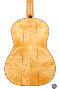 Luca Santambrogio - 2025 Torres FE24 1867