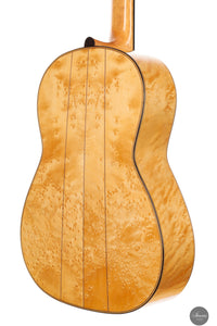 Luca Santambrogio - 2025 Torres FE24 1867