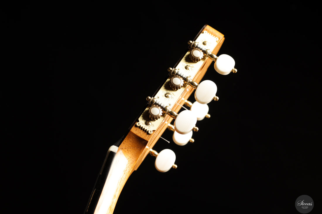 Luca Santambrogio - 2025 Torres FE24 1867