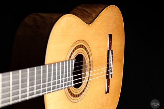 Luca Santambrogio - 2025 Torres FE24 1867 img-2