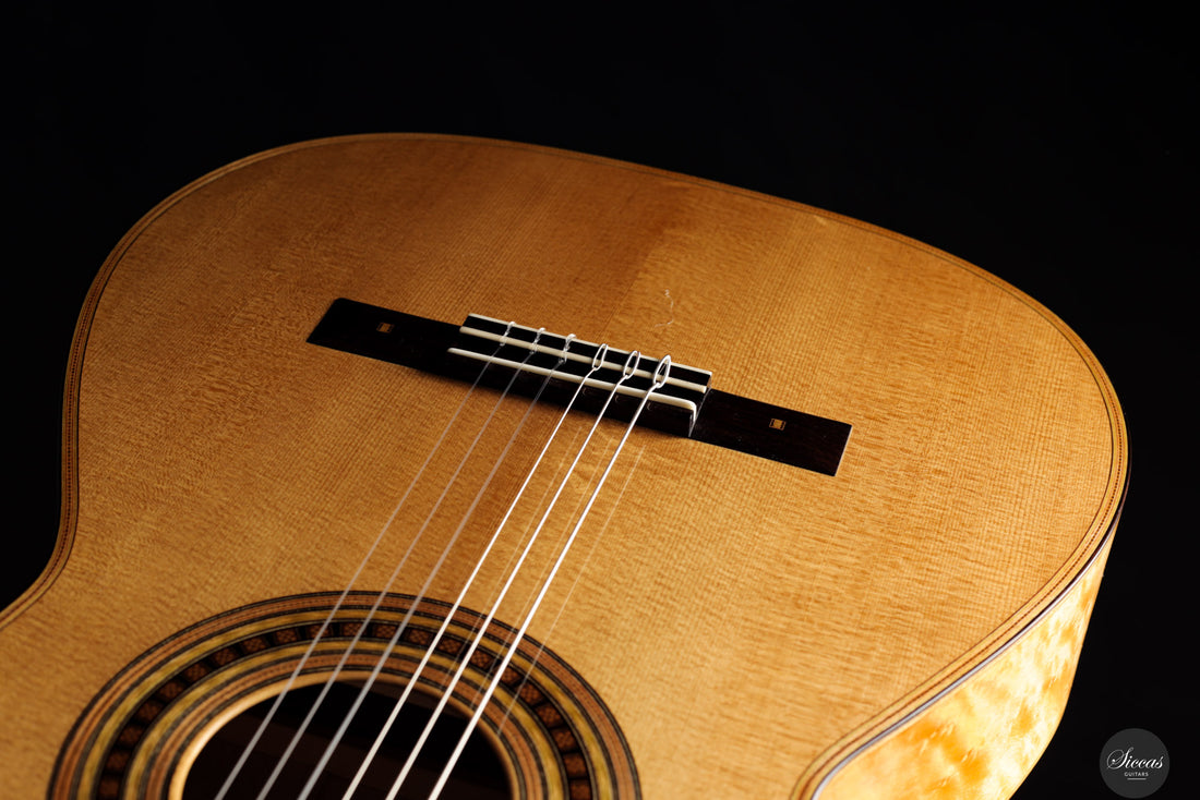 Luca Santambrogio - 2025 Torres FE24 1867