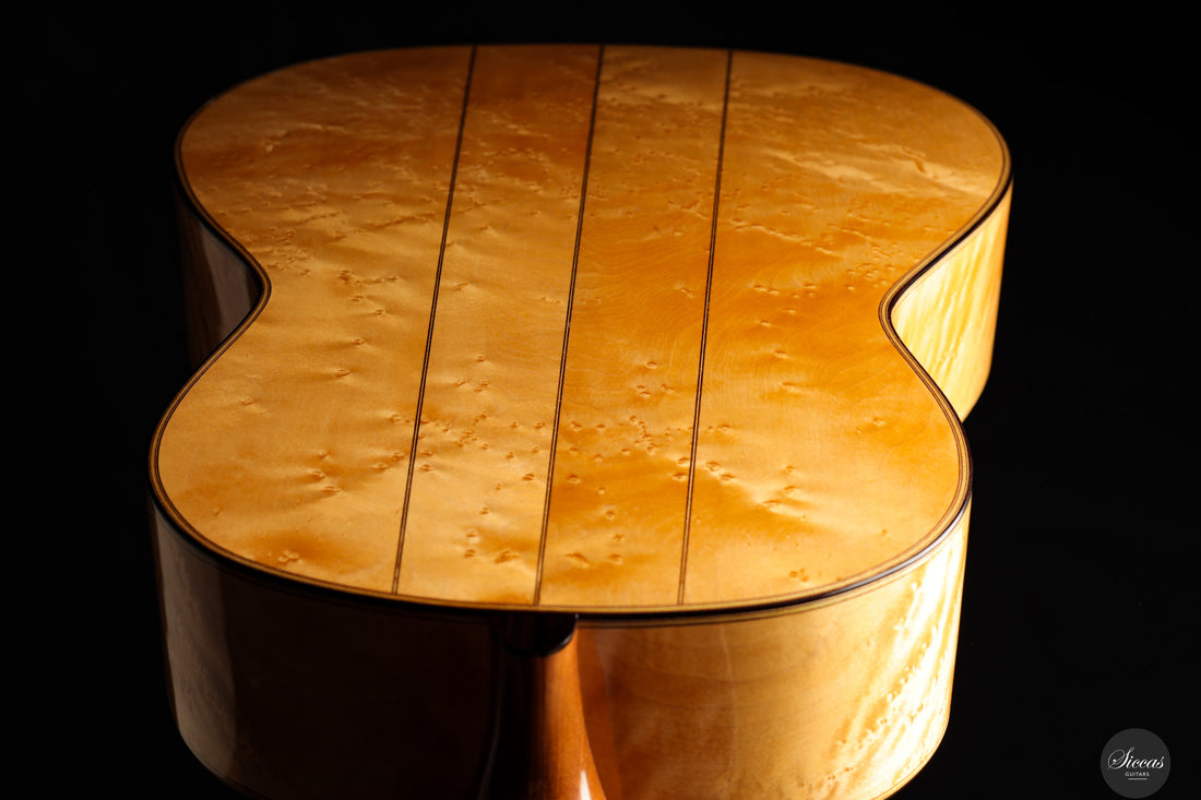 Luca Santambrogio - 2025 Torres FE24 1867