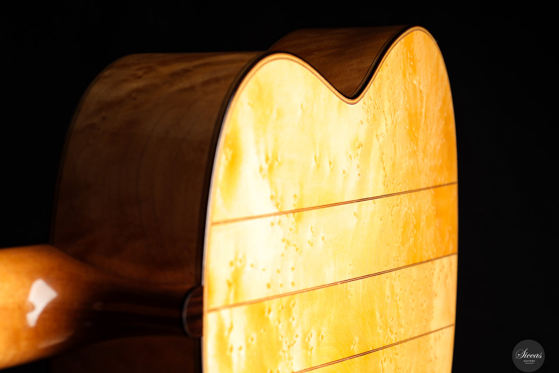 Luca Santambrogio - 2025 Torres FE24 1867