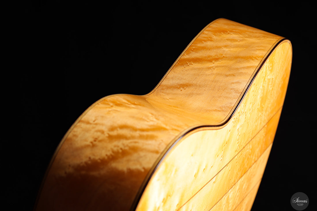 Luca Santambrogio - 2025 Torres FE24 1867