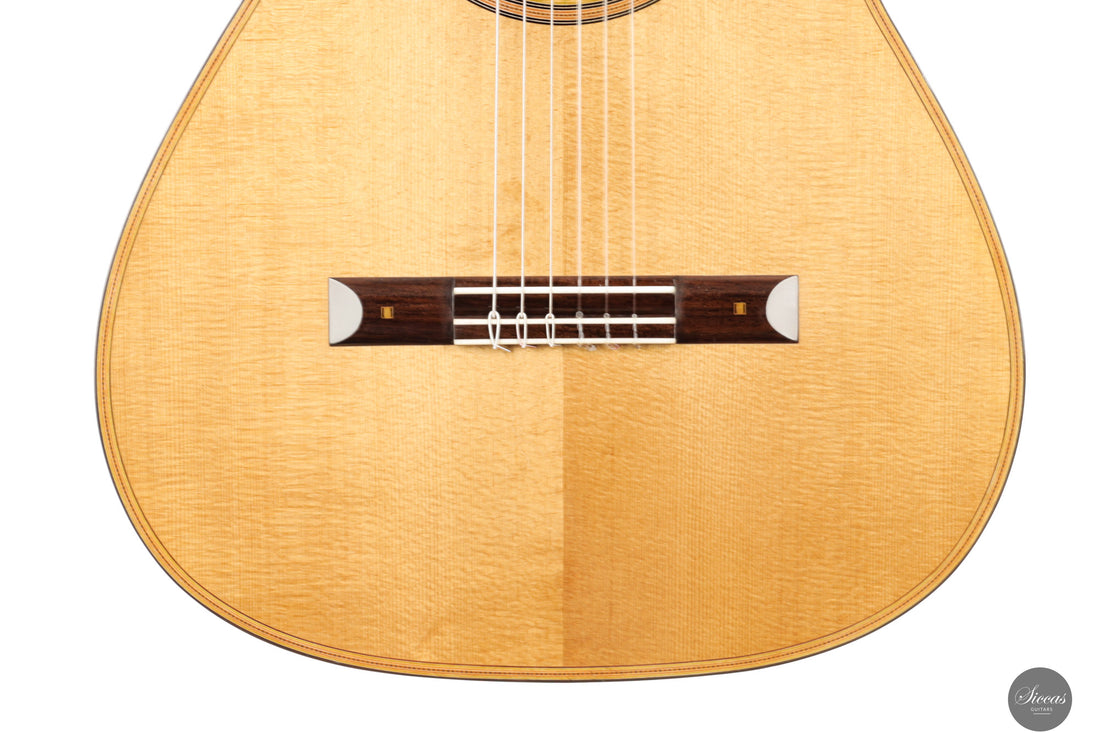 Luca Santambrogio - 2025 Torres FE24 1867