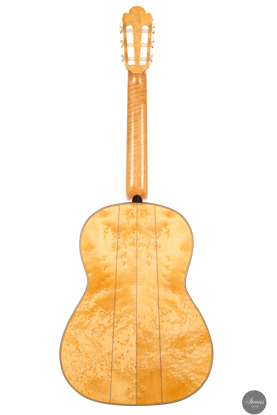 Luca Santambrogio - 2025 Torres FE24 1867