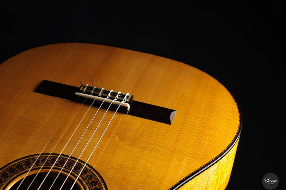 Luciano Lovadina - 2019