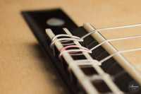 Lucio Antonio Carbone - 2026