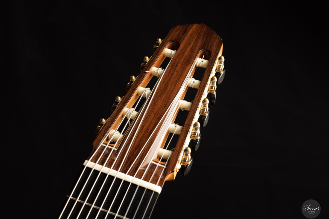 Marco Maguolo - 2022 - Ducale 10 strings Nr.279