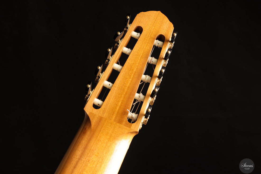 Marco Maguolo - 2022 - Ducale 10 strings Nr.279