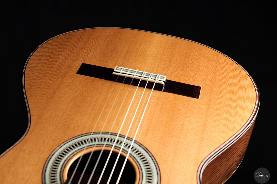 Marco Maguolo - 2026 Ducale Double Top No. 322 REG Limited Edition