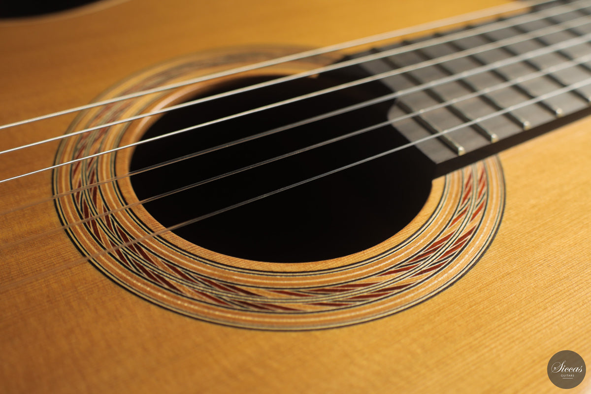 Marcos Domato Fernàndez - 2026 Concert Model No. 13