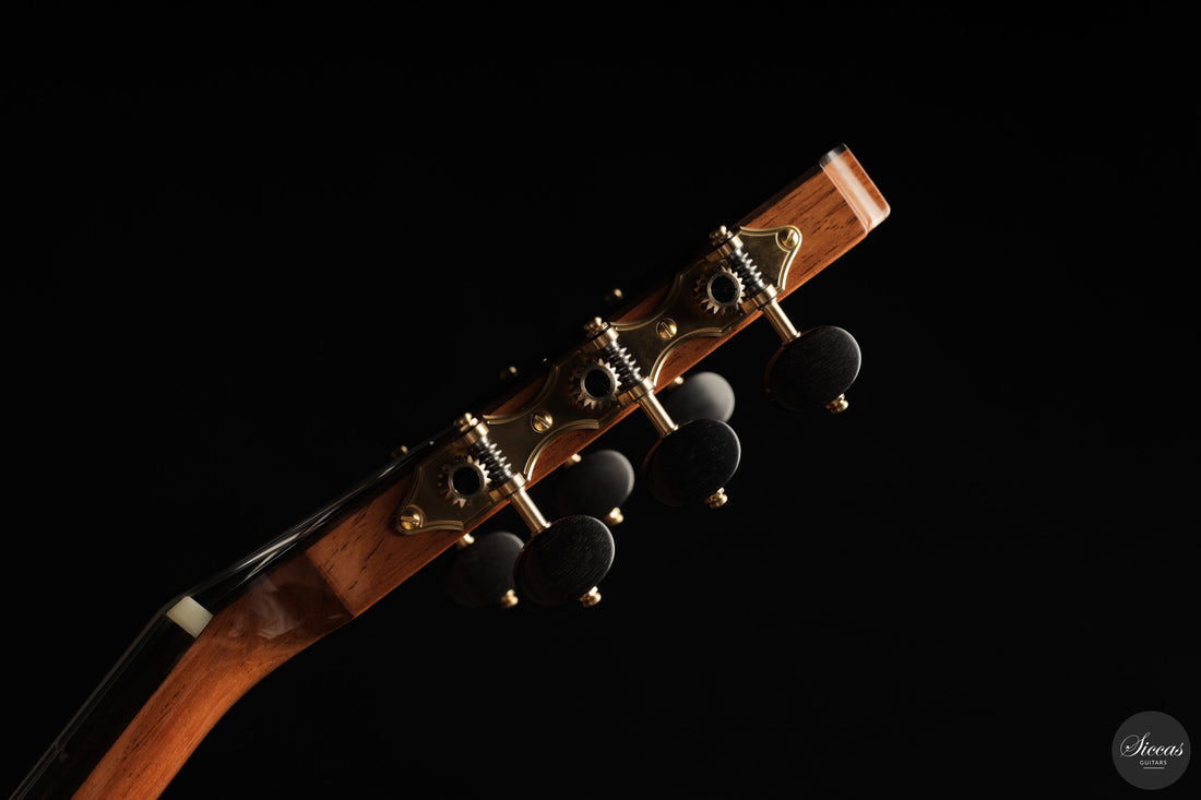 Marcos Domato Fernàndez - 2026 Concert Model No. 13