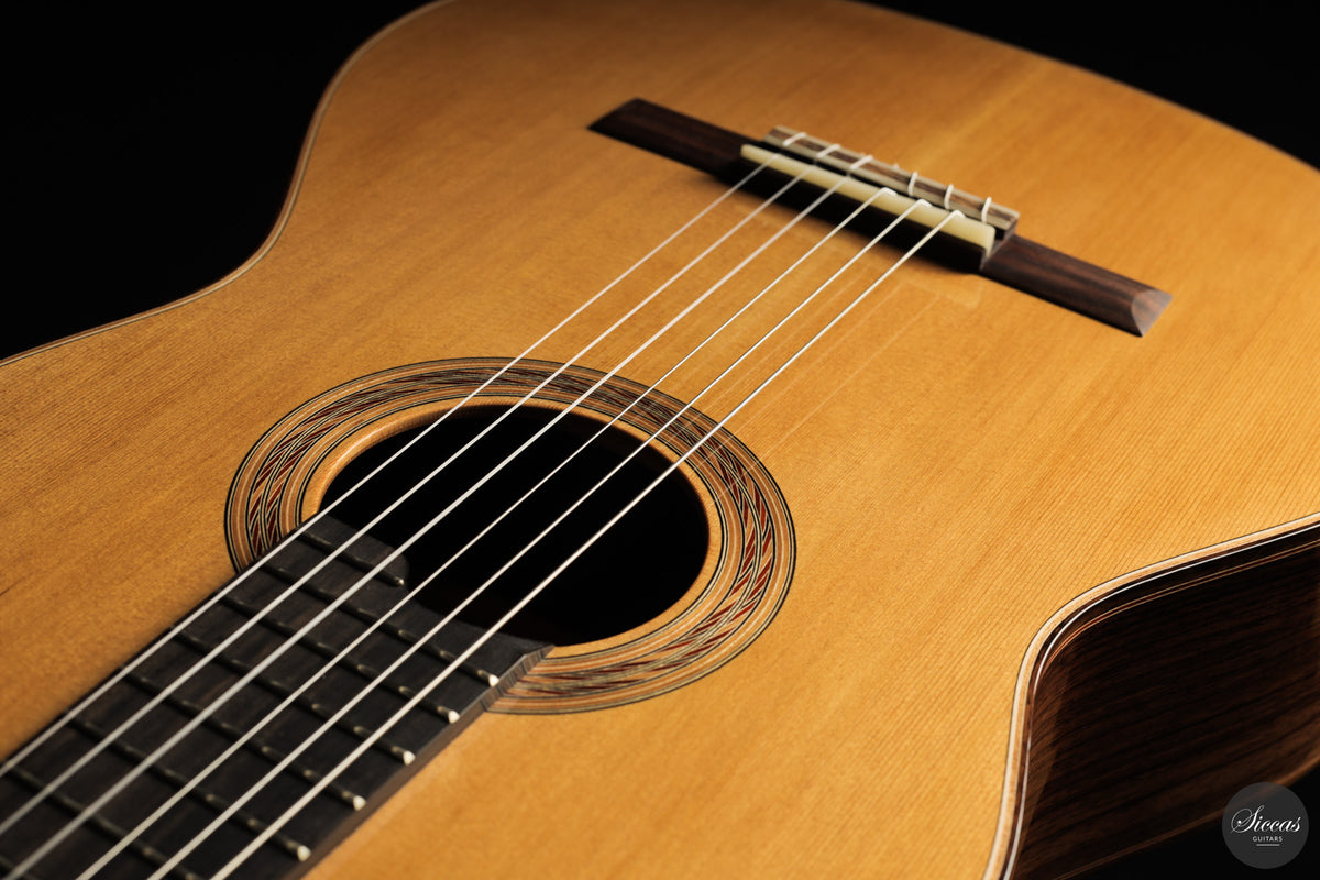 Marcos Domato Fernàndez - 2026 Concert Model No. 13