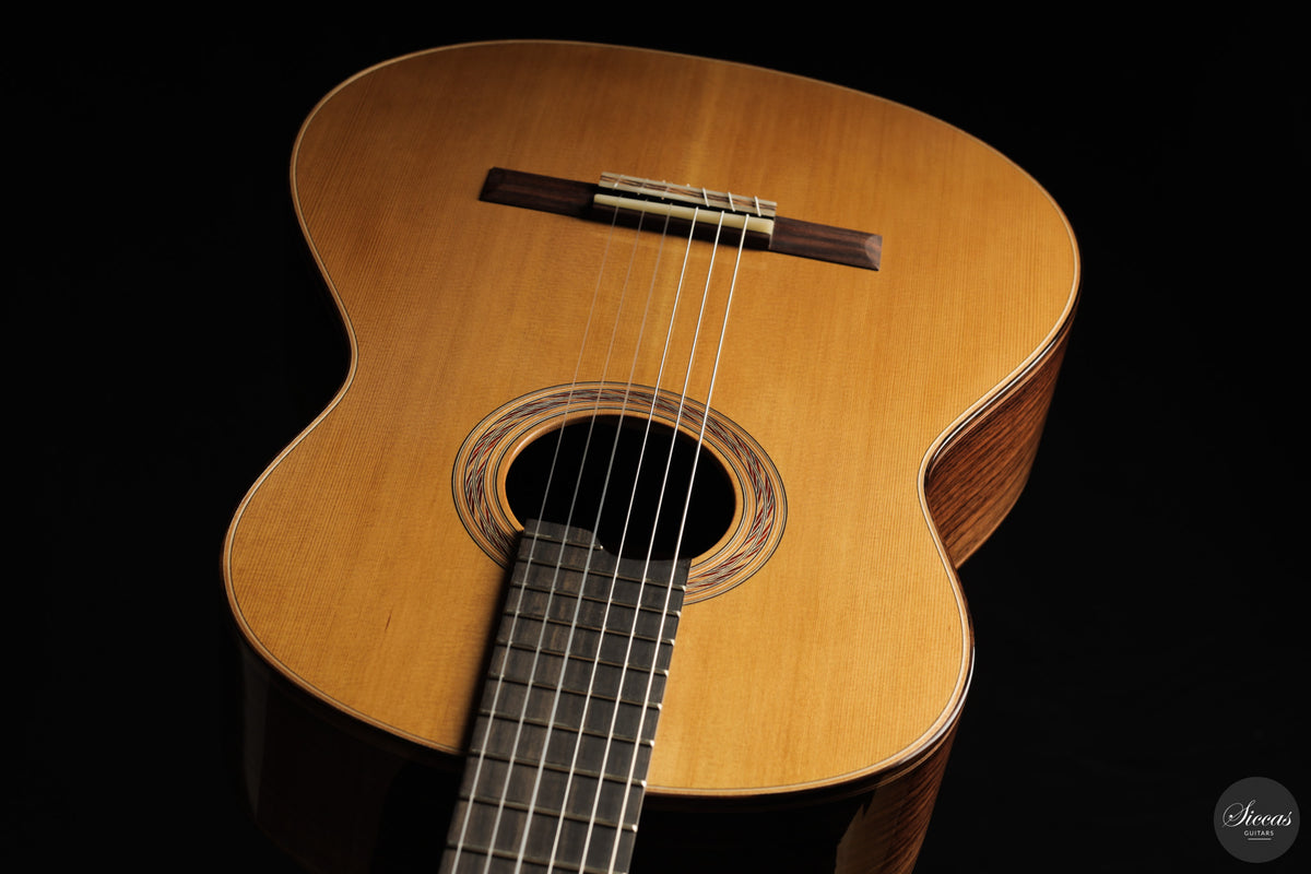 Marcos Domato Fernàndez - 2026 Concert Model No. 13