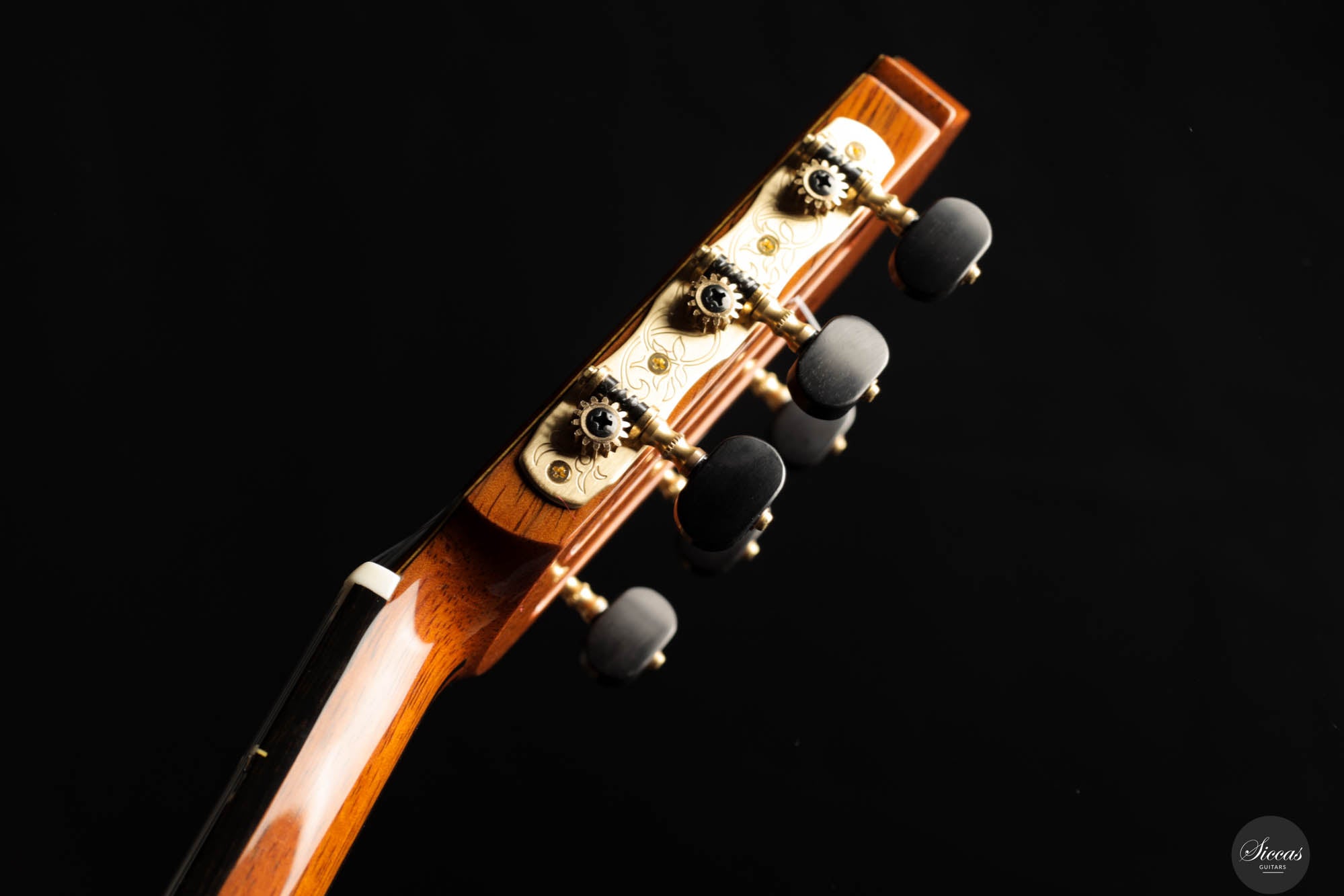 Masaki Sakurai - 2025 - Concert J Spruce – Siccas Guitars