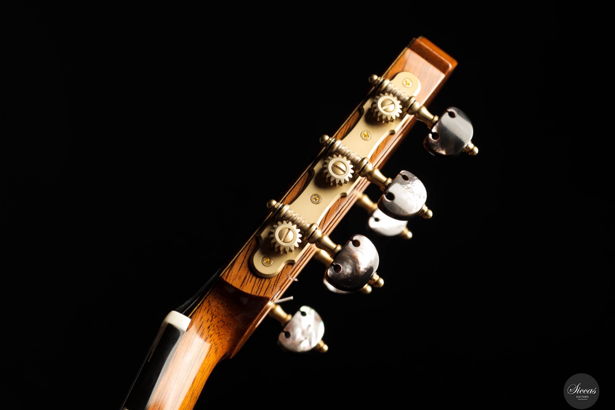 Masaki Sakurai - 2025 Maestro-RF Cedar 64 cm – Siccas Guitars